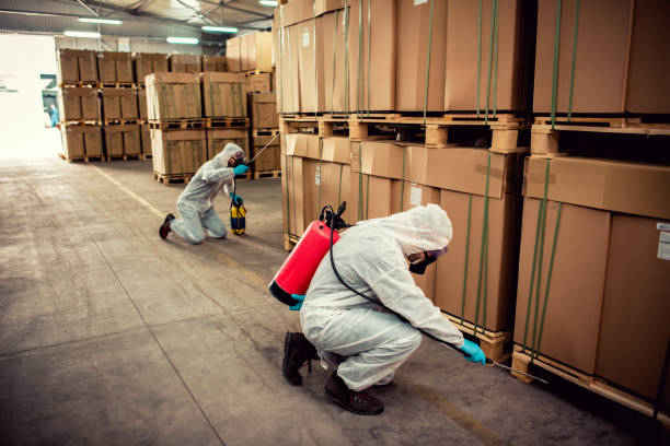 Best Termite Control Services  in Pinebluff, NC