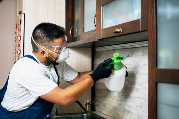 Best Best Pest Control Companies  in Pinebluff, NC