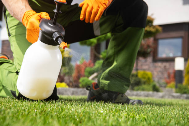Best Flea Control Services  in Pinebluff, NC
