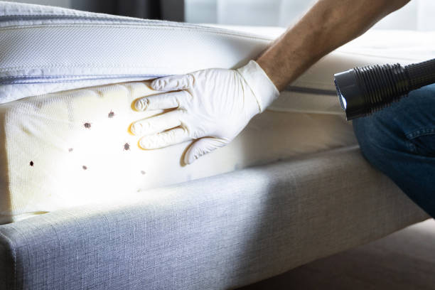 Best Pest Control Near Me  in Pinebluff, NC