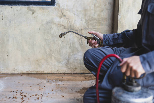 Best Pest Removal Services  in Pinebluff, NC