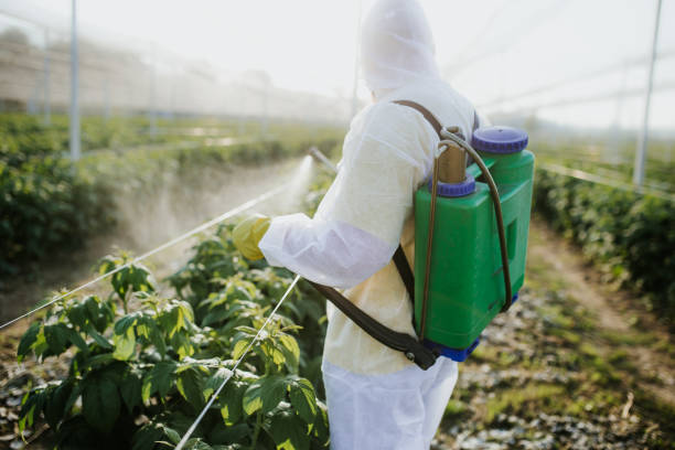 Best Pest Control for Restaurants  in Pinebluff, NC